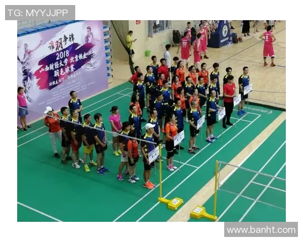 南京羽毛球队的灵活性探讨与发展策略分析